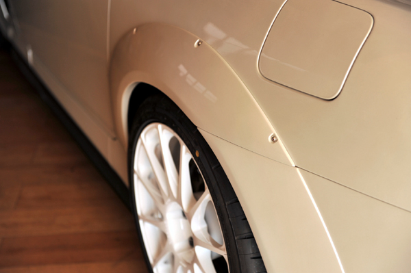 131215 Rr fen DSC_8913.jpg